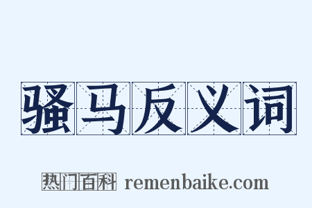 骚马反义词是什么意思的图片